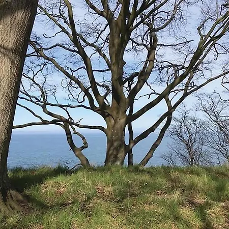 Two-bedroom With A Fireplace 05 Дом отдыха