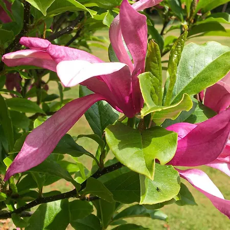 Two-bedroom With A Fireplace 05 Дом отдыха *