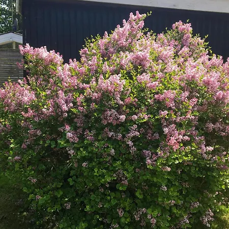 Two-bedroom With A Fireplace 05 * Гиллеляйе