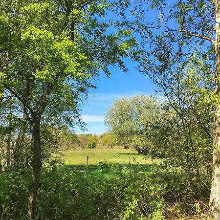 Two-bedroom With A Fireplace 05