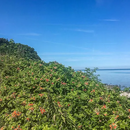 Two-bedroom With A Fireplace 05 Дом отдыха Гиллеляйе